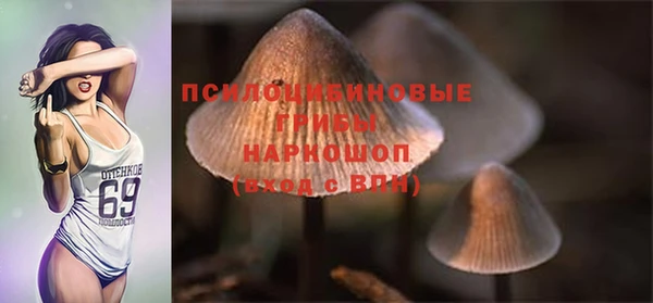 ECSTASY Няндома