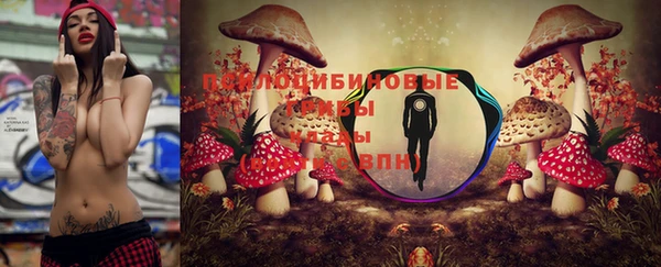 дмт Аркадак