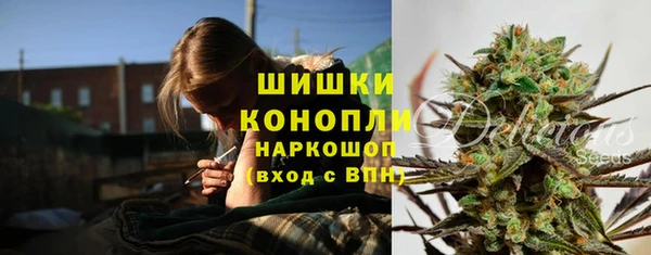 дмт Аркадак